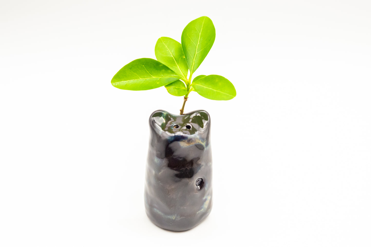 Desk Pet - Happy Little Desk Companion - Black and Blue